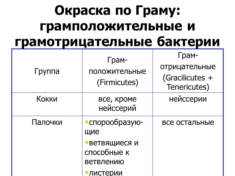 Грамм минус. Грамположительные и грамотрицательные бактерии сравнение. Грамм положительные бактерии. Признаки грамотрицательных бактерий. Примеры грамположительных бактерий.