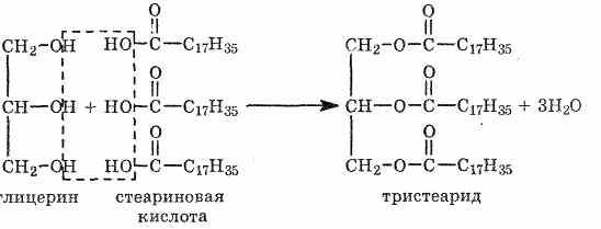 Реакция образования жира. Триглицерид олеиновой кислоты формула. Триглицерид стеариновой кислоты. Триглицериды стеариновой кислоты. Образование жира из глицерина и олеиновой кислоты.