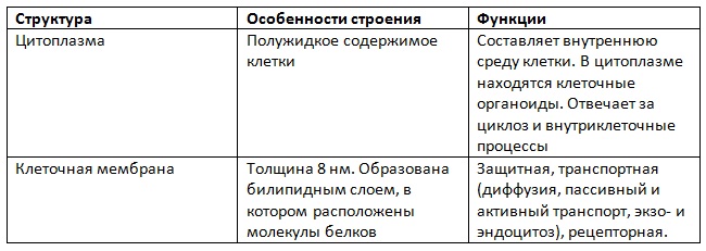 Клетки особенности строения функции таблица. Плазматическая мембрана строение и функции таблица. Клеточная мембрана особенности строения и функции. Таблица структура строение функции клеточной мембраны. Структура клетки особенности строения функции таблица.