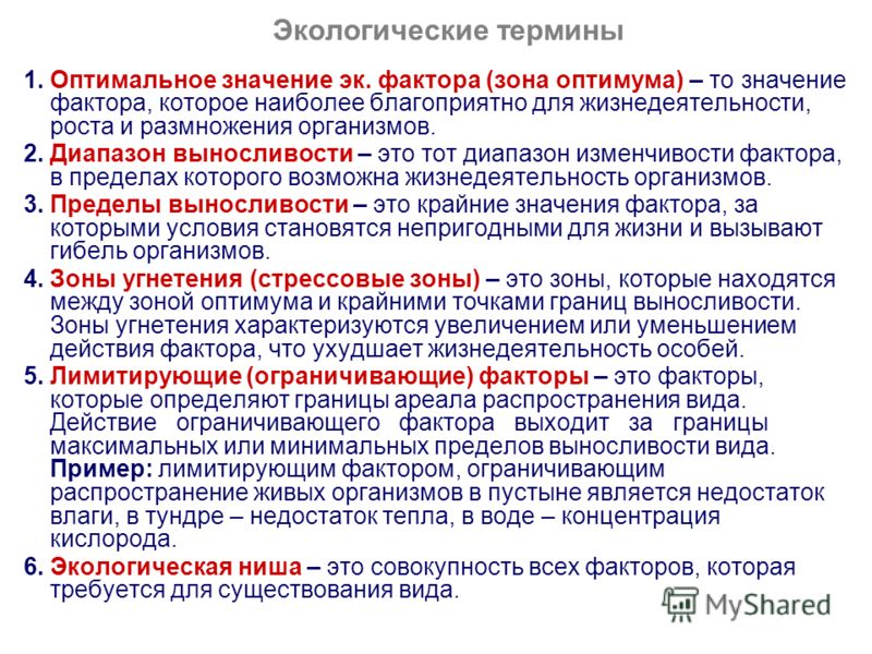 Экологические понятия. Экологические термины. Термин экология. Основные понятия и термины экологии. Понятие термина экология.